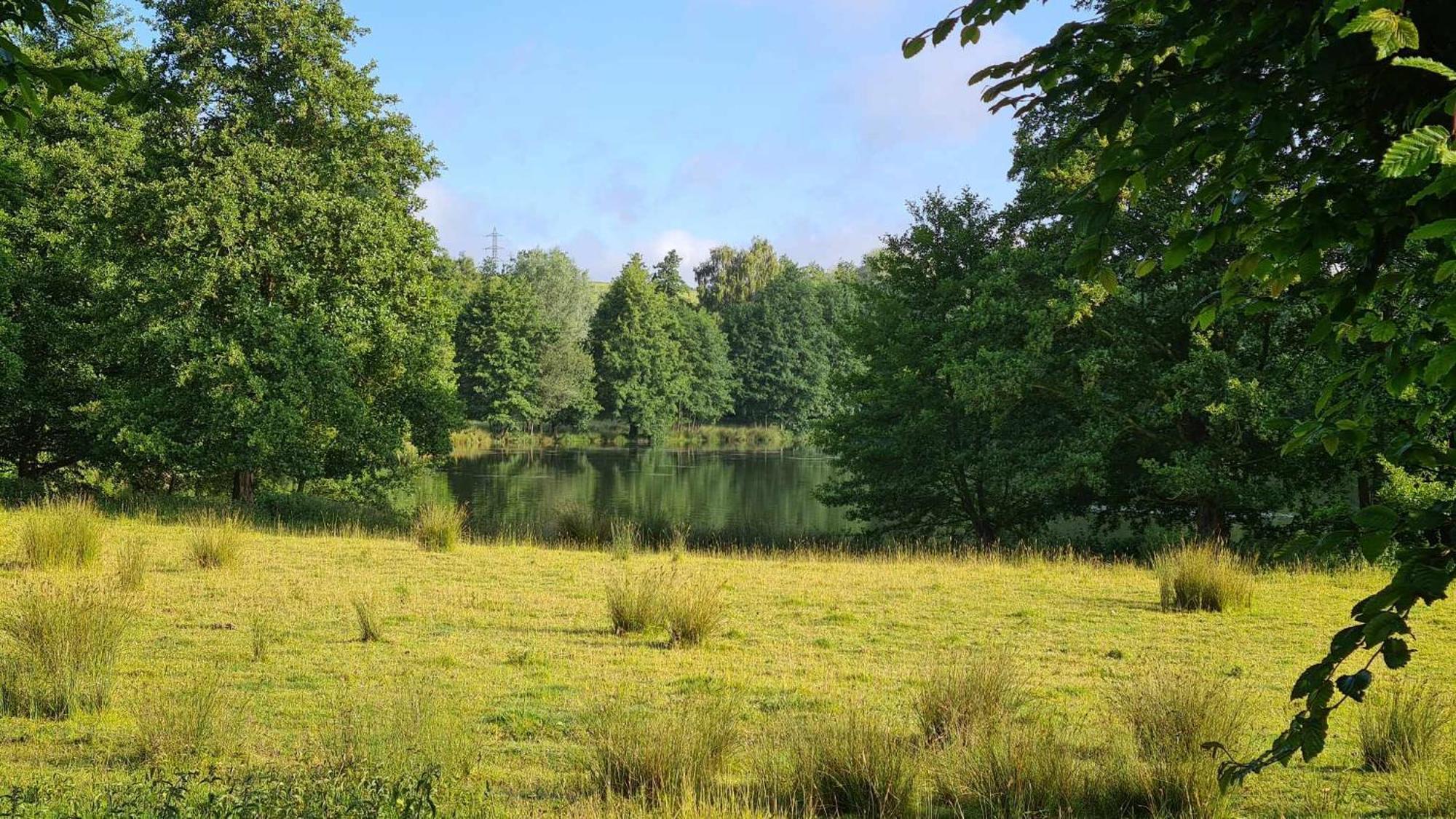 Les Gites De La Renardiere Gueures ภายนอก รูปภาพ