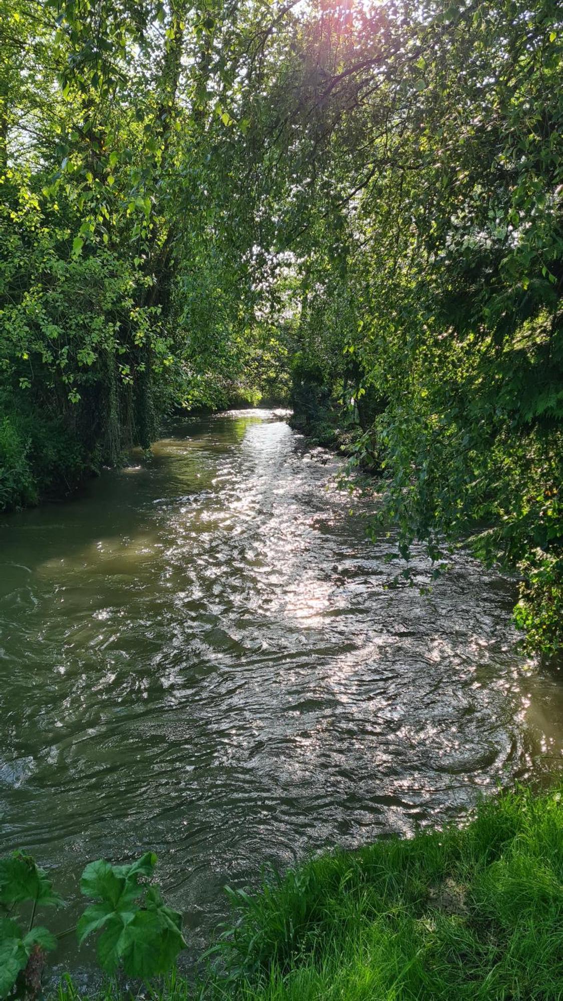 Les Gites De La Renardiere Gueures ภายนอก รูปภาพ